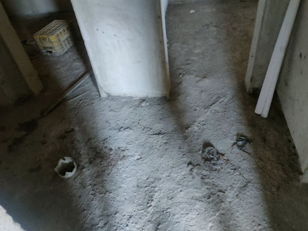 Casa, 3 quartos, 250 m² - Foto 2