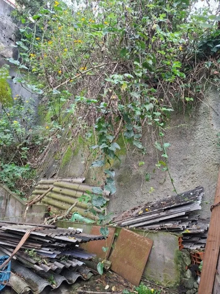 Terreno, 297 m² - Foto 9