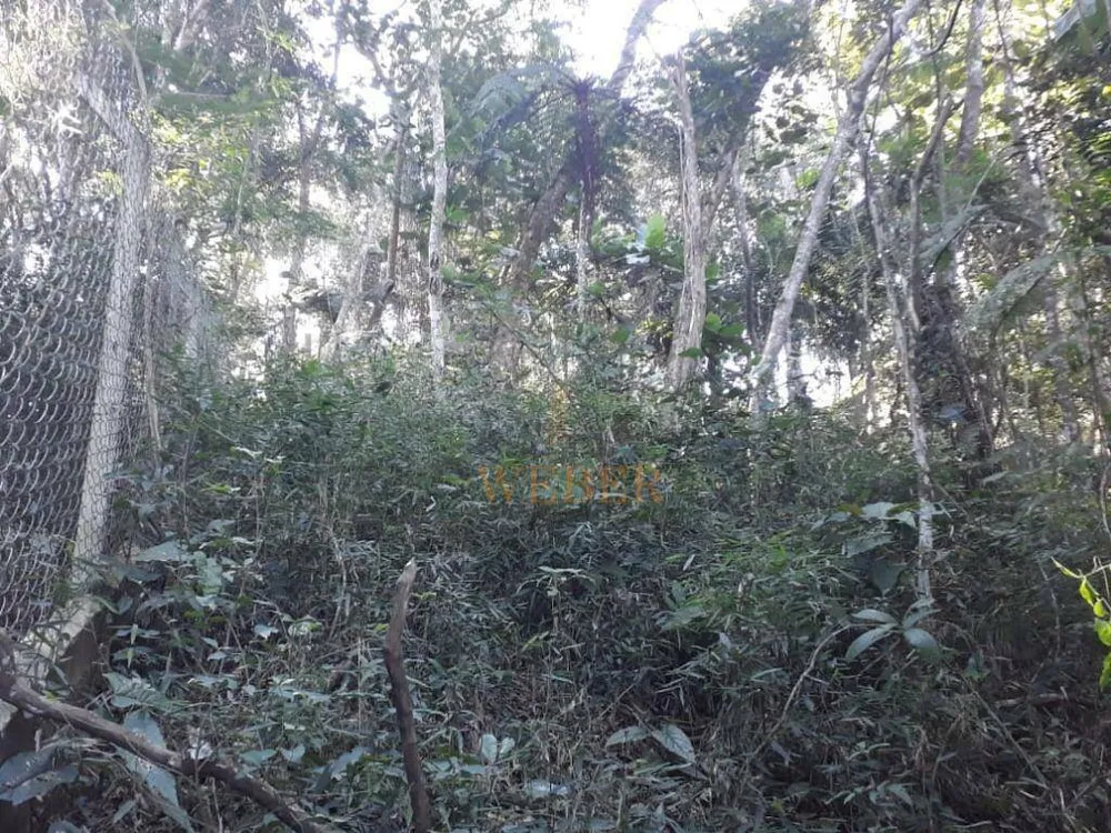 Terreno, 2000 m² - Foto 9