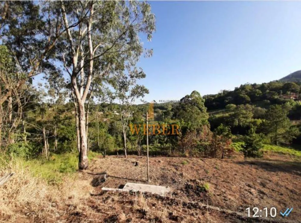 Terreno, 2205 m² - Foto 4