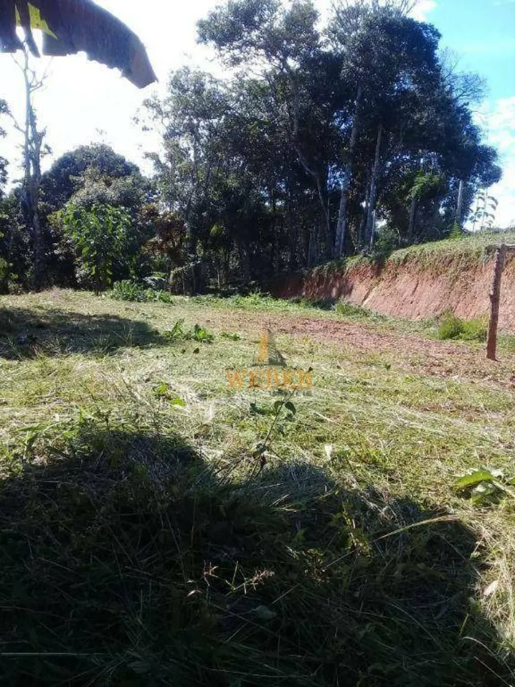 Terreno, 3000 m² - Foto 8
