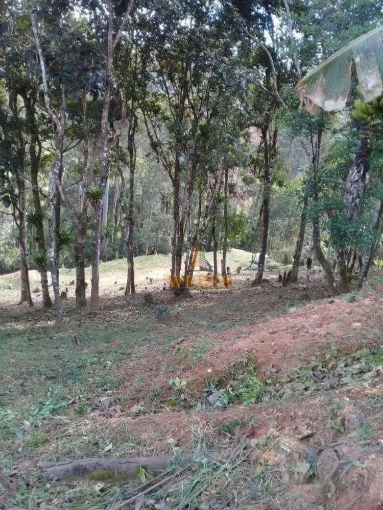 Terreno, 3000 m² - Foto 9