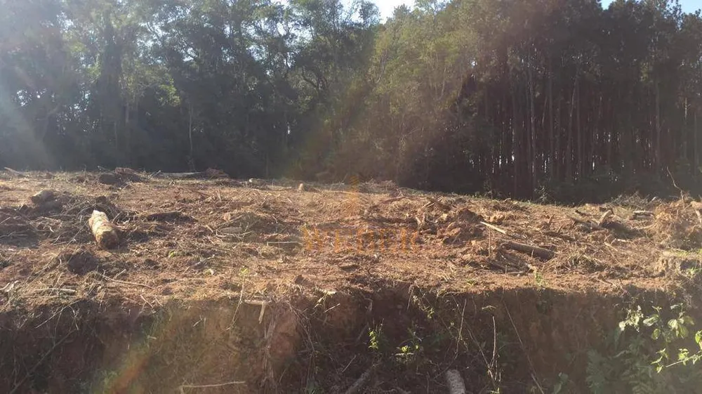 Terreno, 7 hectares - Foto 4