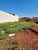 Terreno, 250 m² - Foto 3