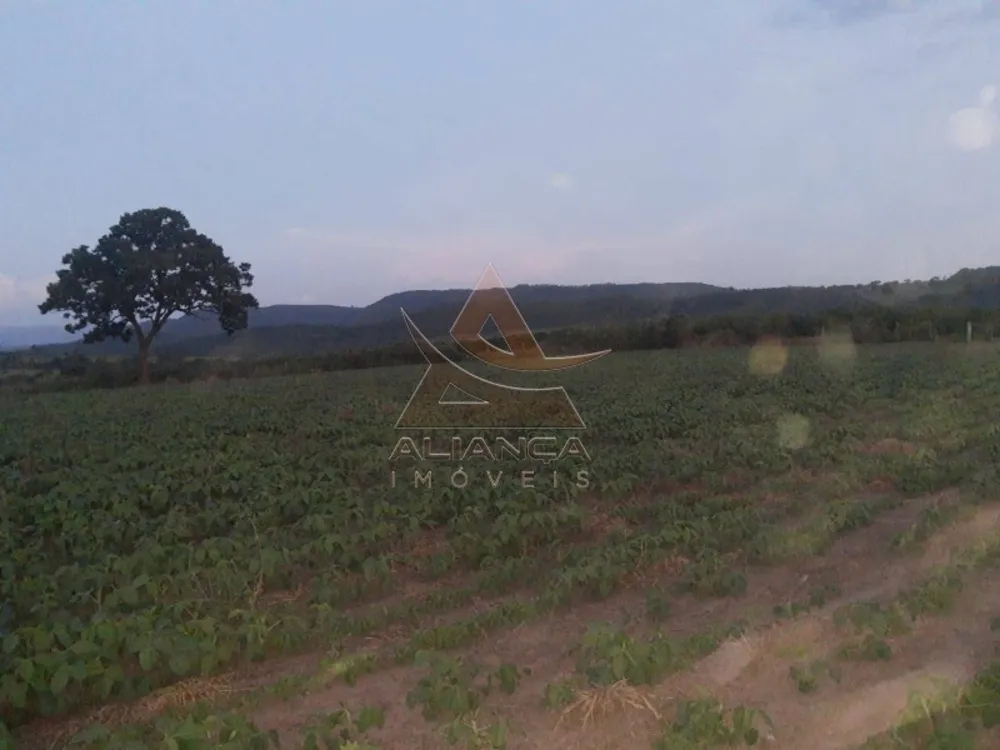 Sítio, 1 quarto, 97 hectares - Foto 2