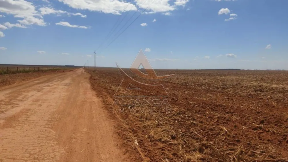 Fazenda, 2665 hectares - Foto 4