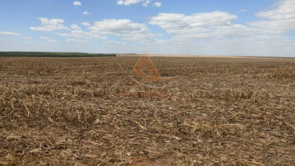 Fazenda, 2665 hectares - Foto 3