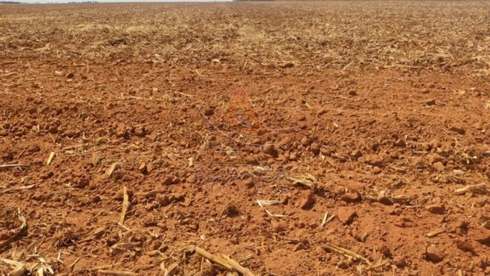 Fazenda, 2665 hectares - Foto 2