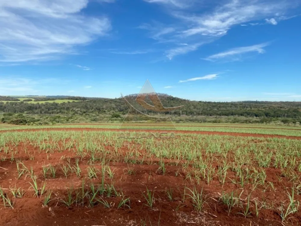 Fazenda, 175 hectares - Foto 4