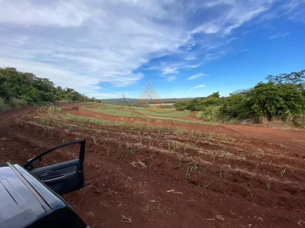 Fazenda, 175 hectares - Foto 2