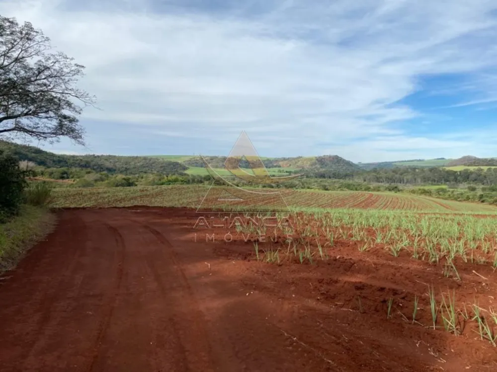 Fazenda, 175 hectares - Foto 3