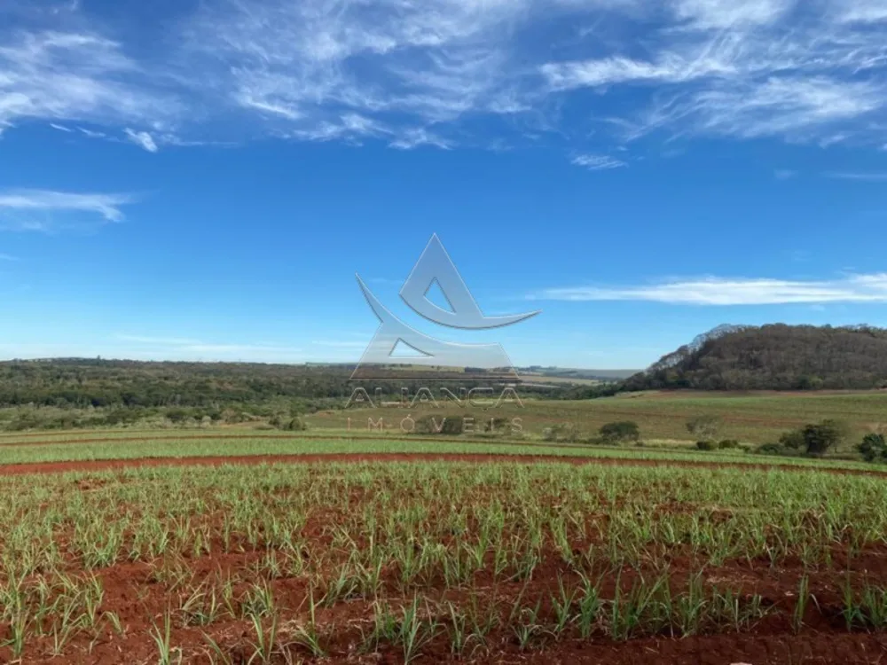 Fazenda, 175 hectares - Foto 3