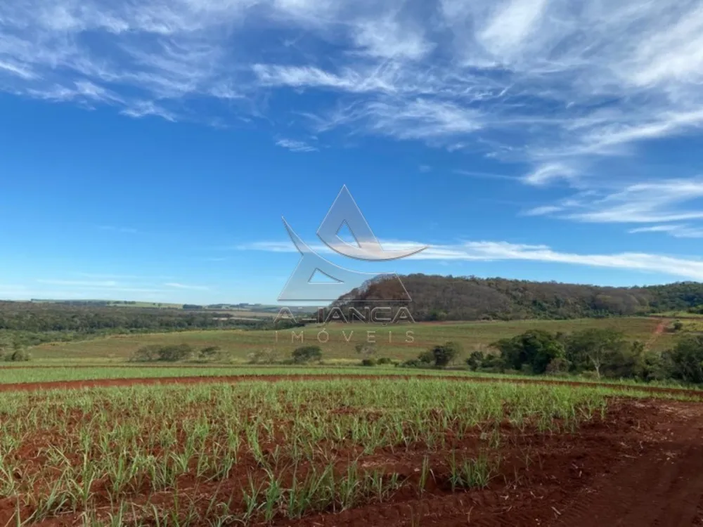 Fazenda, 175 hectares - Foto 1