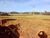 Fazenda, 315 hectares - Foto 1