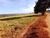 Fazenda, 315 hectares - Foto 1