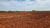 Fazenda, 145 hectares - Foto 2