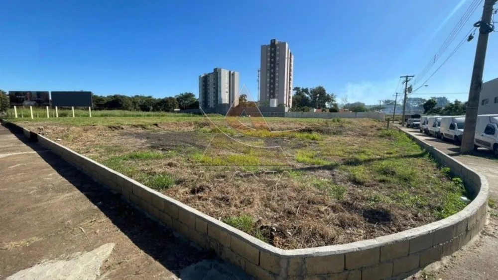 Terreno, 2904 m² - Foto 6