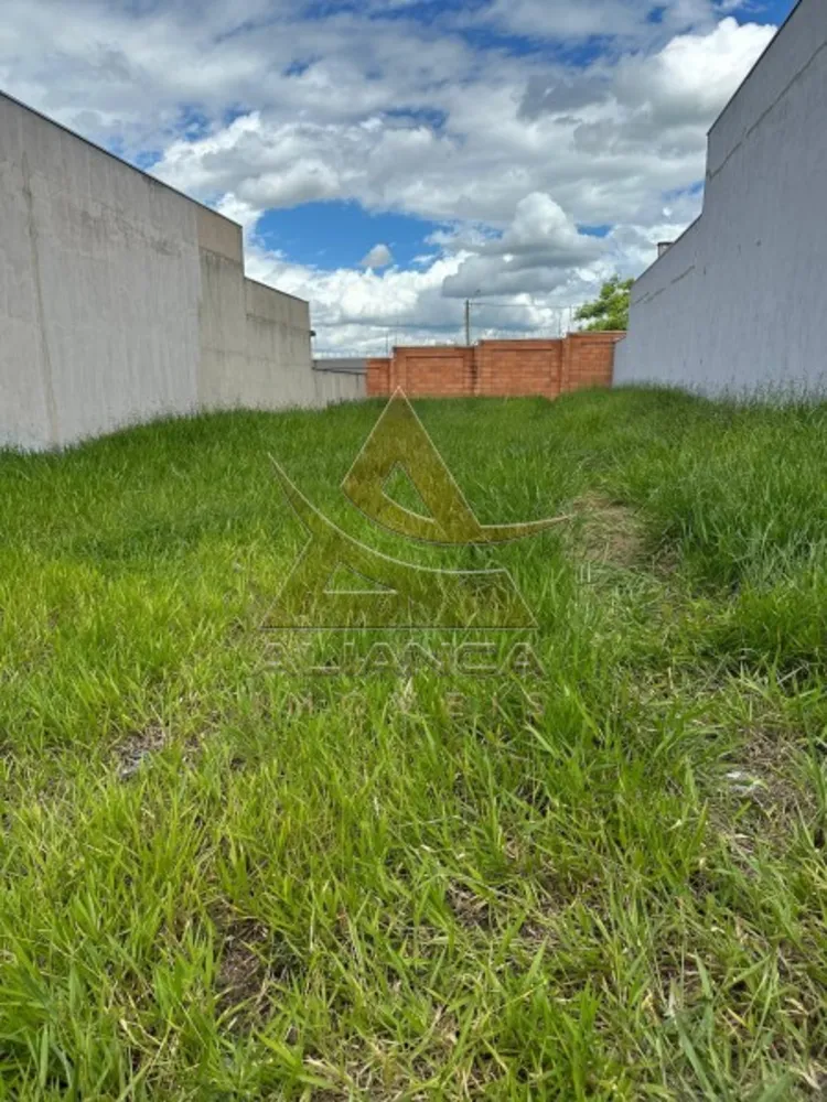 Terreno, 300 m² - Foto 3