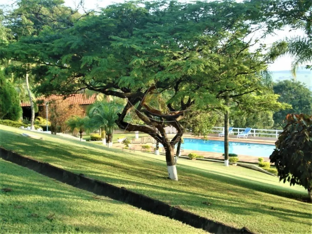 Sítio, 8 quartos, 22 hectares - Foto 3