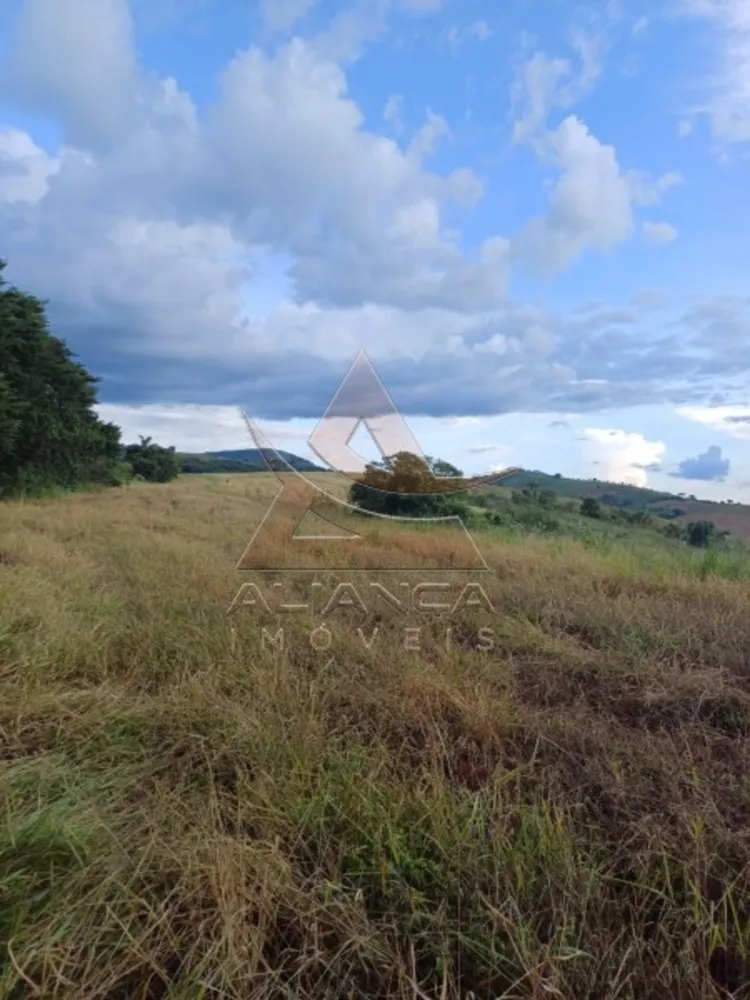 Fazenda, 315 hectares - Foto 8