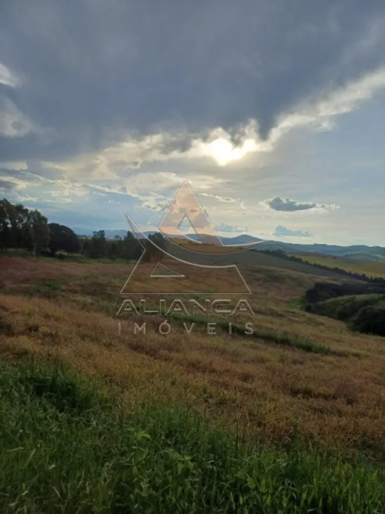 Fazenda, 315 hectares - Foto 6