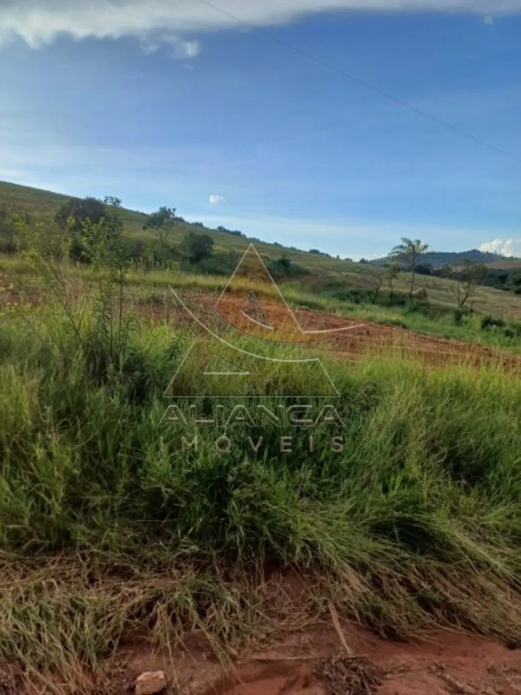 Fazenda, 315 hectares - Foto 7