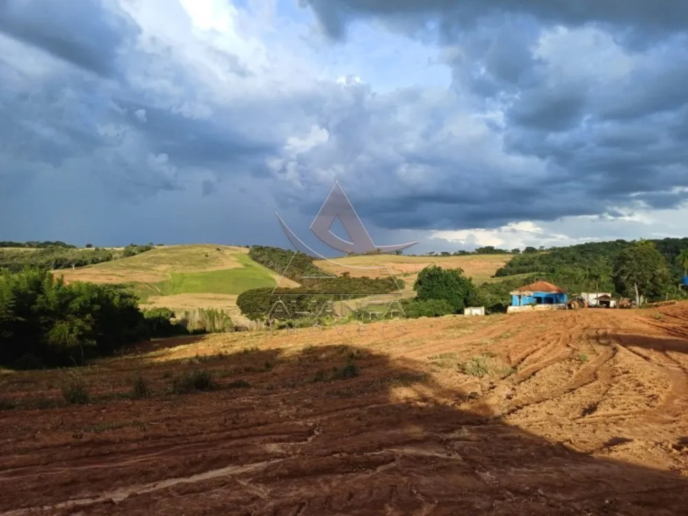 Fazenda, 315 hectares - Foto 3