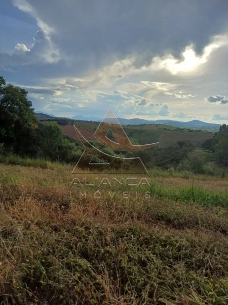 Fazenda, 315 hectares - Foto 4