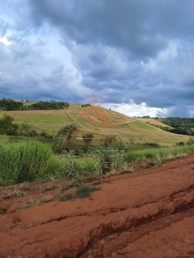 Fazenda, 315 hectares - Foto 2