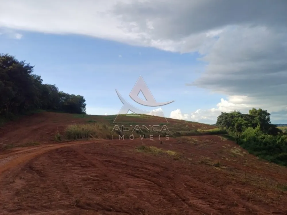 Fazenda, 315 hectares - Foto 1