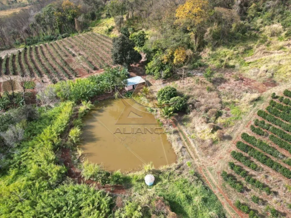 Fazenda, 26 hectares - Foto 3