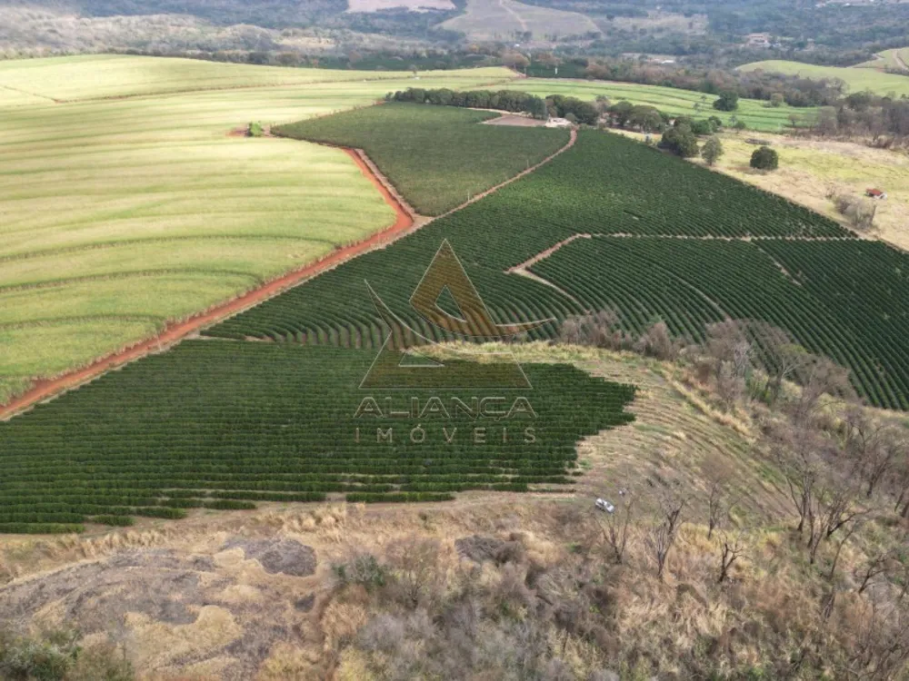 Fazenda, 26 hectares - Foto 1