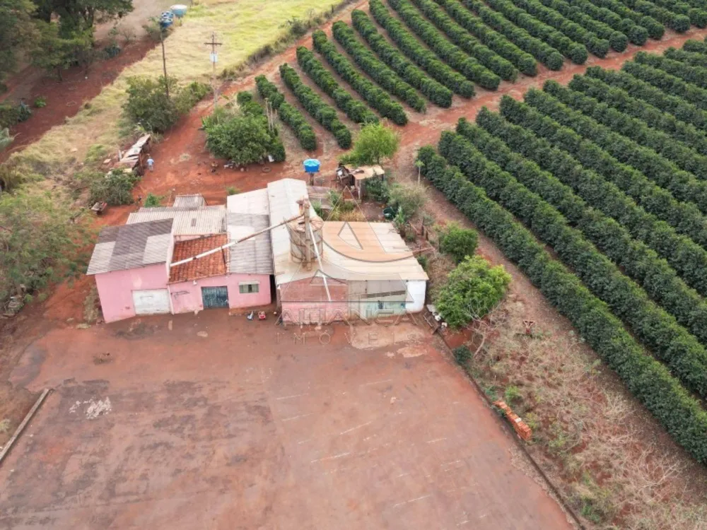 Fazenda, 26 hectares - Foto 3