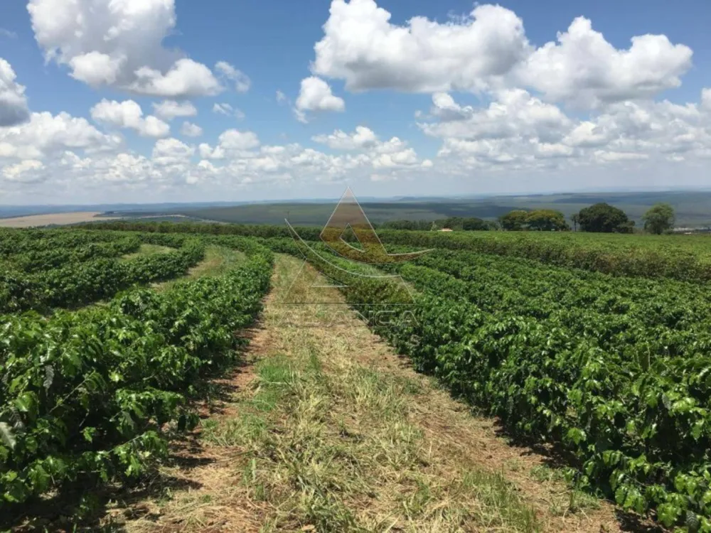 Fazenda, 26 hectares - Foto 5