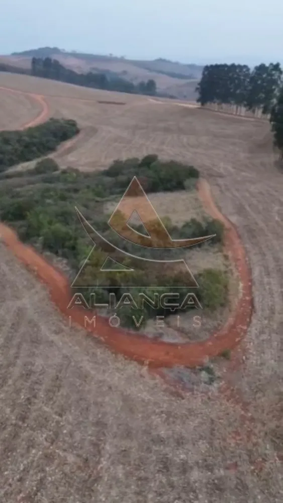 Fazenda, 1150 hectares - Foto 7