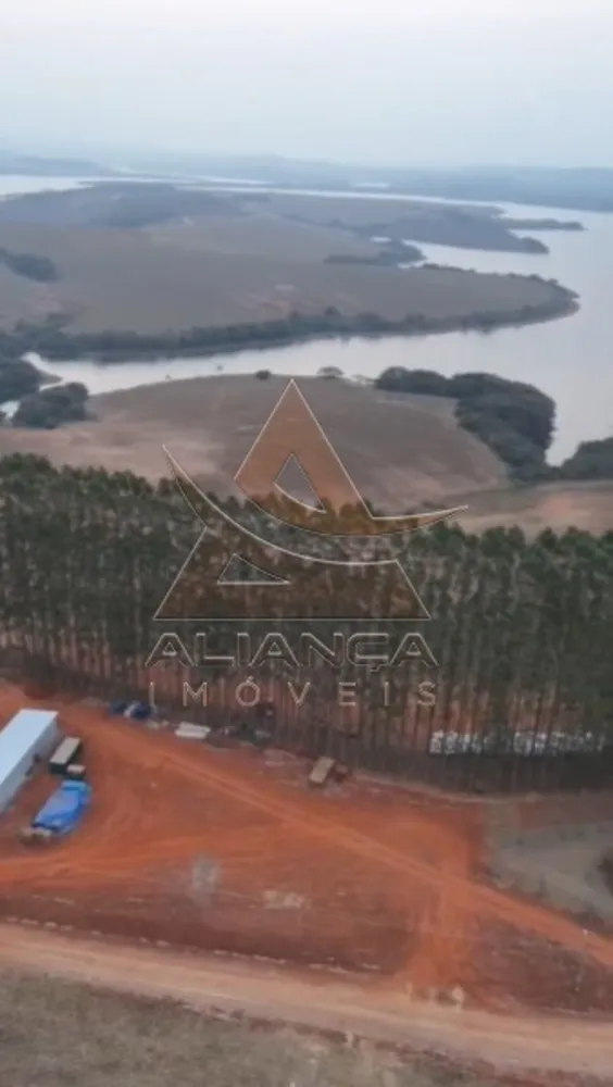 Fazenda, 1150 hectares - Foto 8