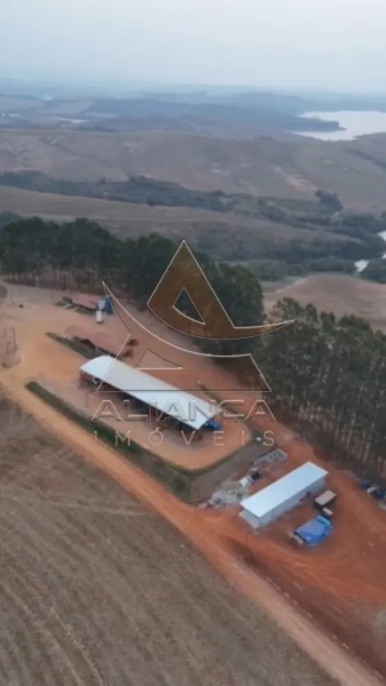 Fazenda, 1150 hectares - Foto 6