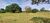Fazenda-Sítio-Chácara, 229 hectares - Foto 1