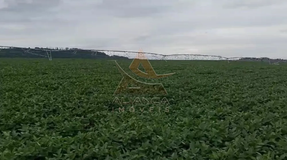 Fazenda, 249 hectares - Foto 2