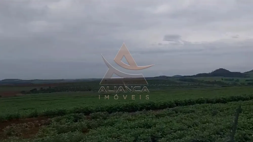 Fazenda, 249 hectares - Foto 4