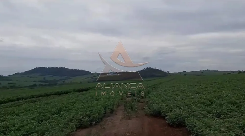 Fazenda, 249 hectares - Foto 6