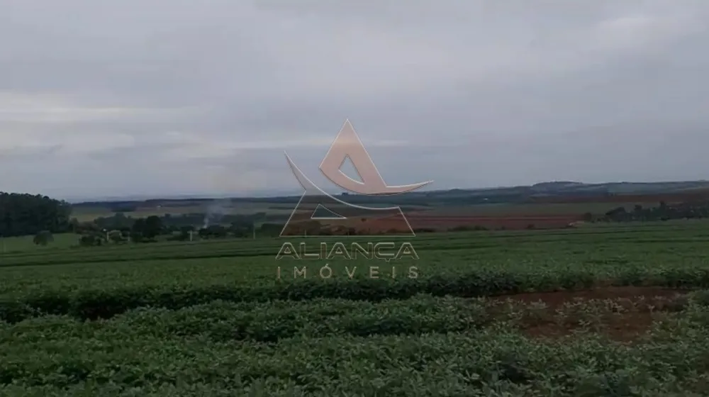 Fazenda, 249 hectares - Foto 8