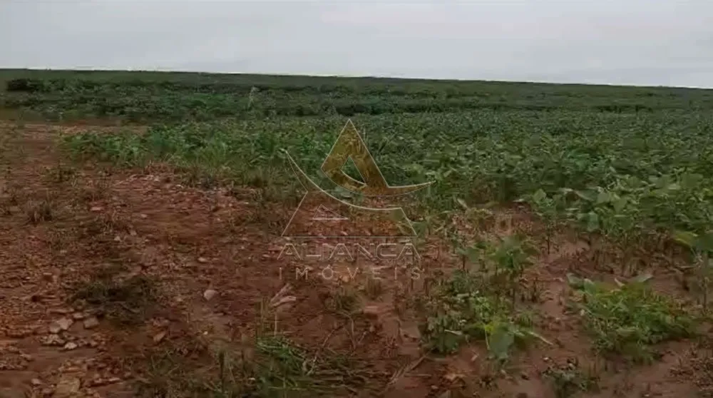 Fazenda, 249 hectares - Foto 1