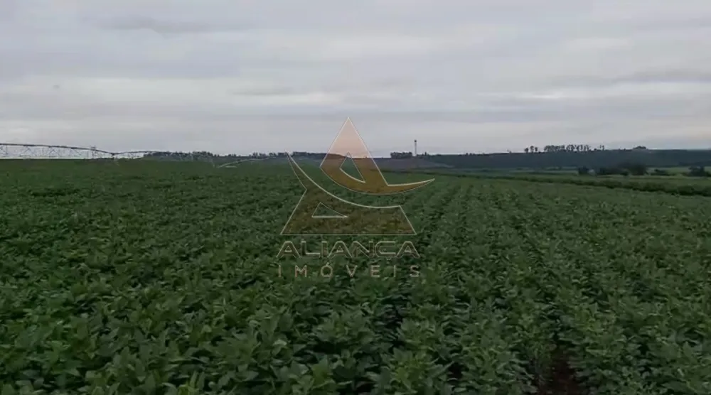 Fazenda, 249 hectares - Foto 7