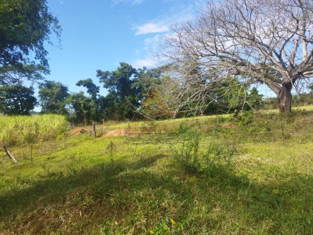 Sítio, 2 quartos, 15 hectares - Foto 4