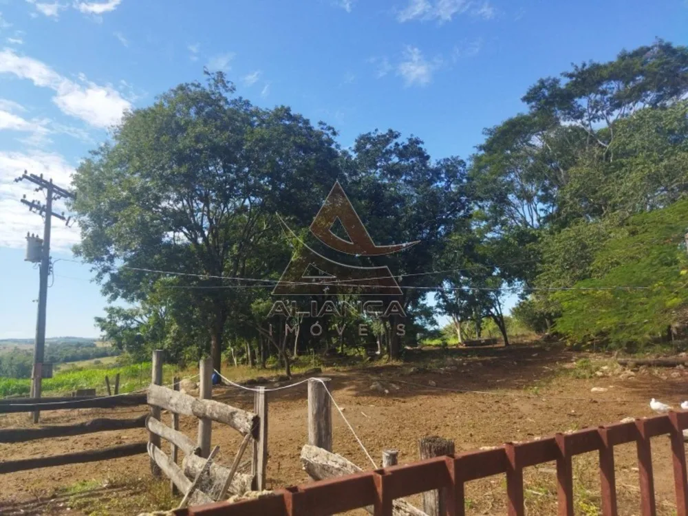 Sítio, 2 quartos, 15 hectares - Foto 1
