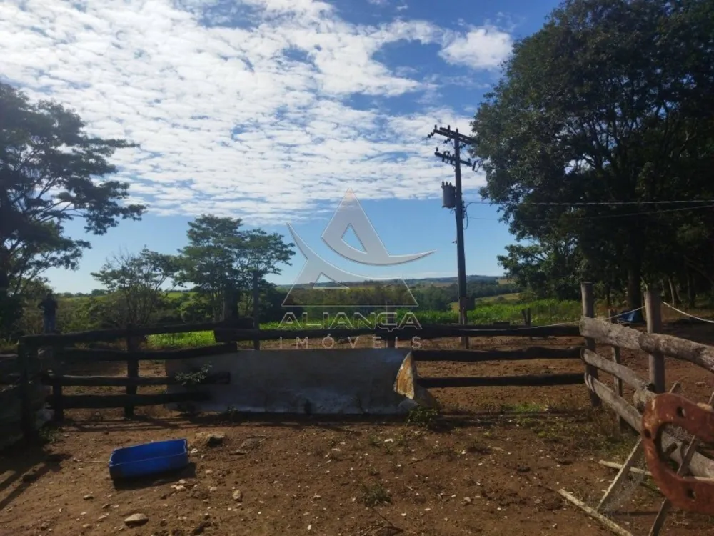 Sítio, 2 quartos, 15 hectares - Foto 3