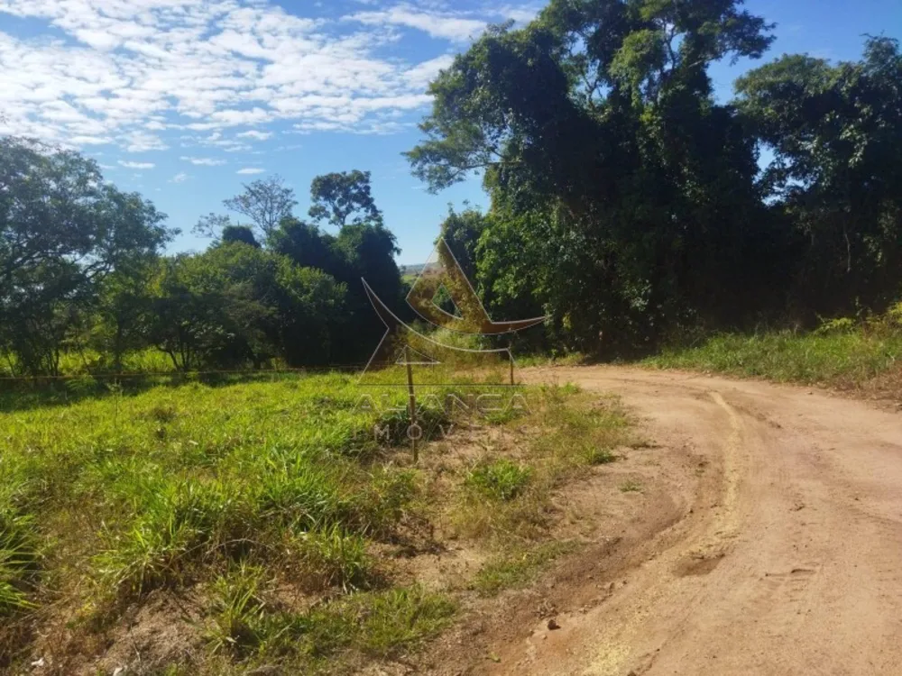 Sítio, 2 quartos, 15 hectares - Foto 4