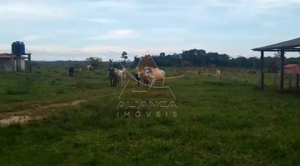 Fazenda, 1892 hectares - Foto 8