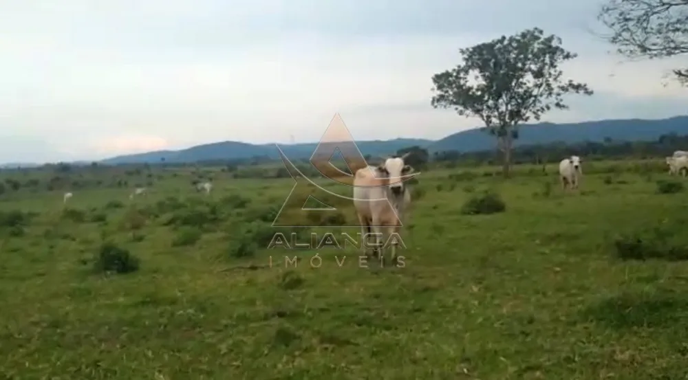 Fazenda, 1892 hectares - Foto 4